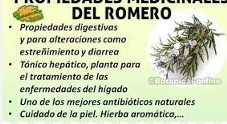 Romero: cura desde adentro y embellece por fuera