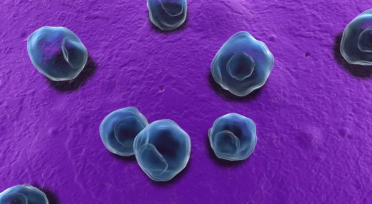 La bacteria chlamydia aumenta 10 veces la posibilidad de abortos