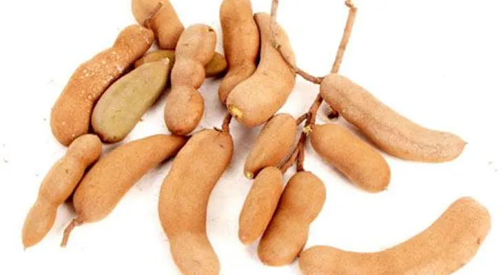 El Tamarindo una fruta que debes consumir
