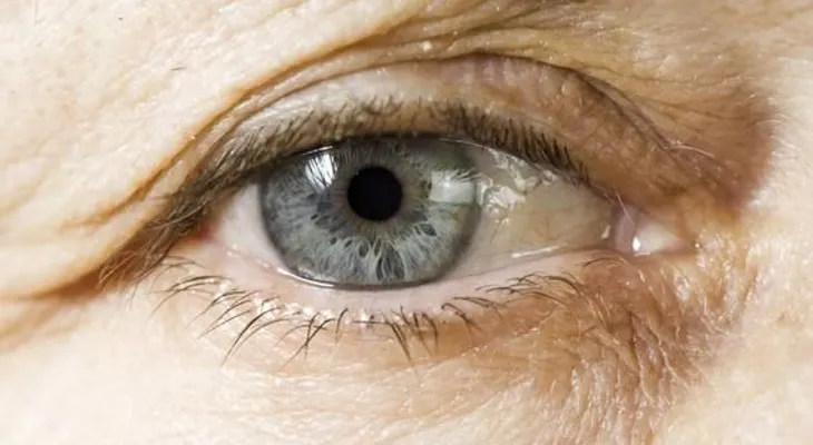 Células madre curan ceguera por enfermedades de retina