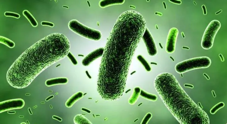 39 billones. Esa es la cantidad de bacterias que viven dentro de nuestro cuerpo