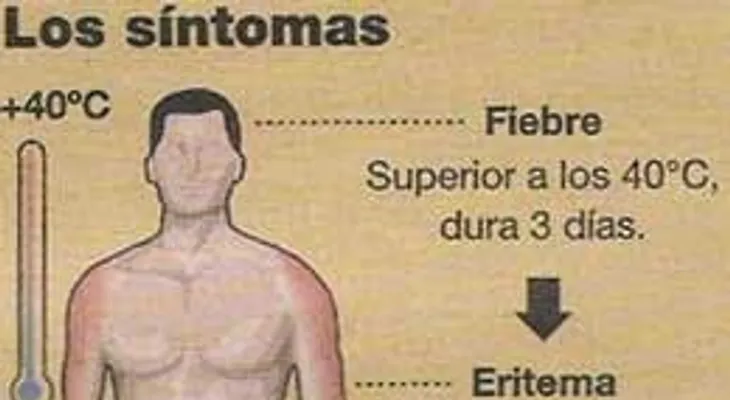 Salud Pública confirma que en el país hay Chikungunya 