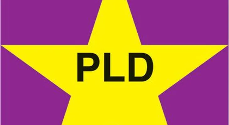 50 diputados seguidores de LF y fuerzas aliadas al PLD pedirán investigar al Procurador