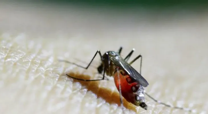 Cuba anuncia su primer caso de zika, le llegó de Venezuela