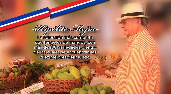 Hipólito Mejía dice que sus mangos son de los 10 mejores del mundo