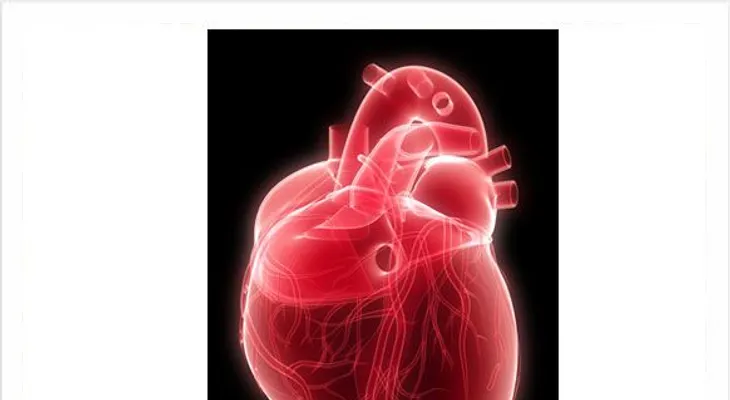 Corazón de mujer