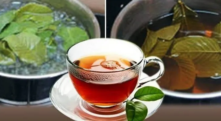 Un reconocido médico dice que un té de guayaba, yerba buena y jengibre son buenos para evitar enfermedades