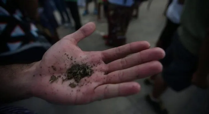 Registran por primera vez un medicamento a base de cannabis