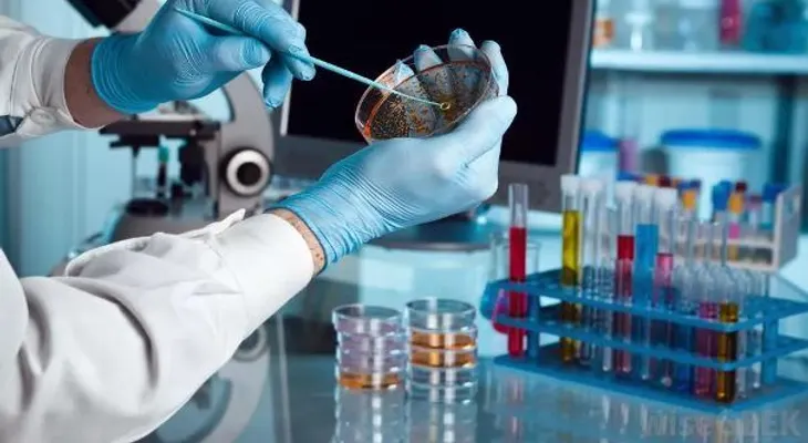 Investigadores mexicanos integran banco de células madre dentales 