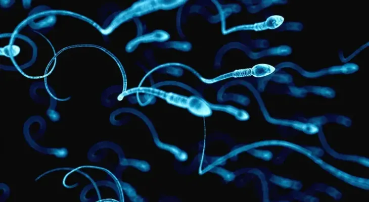 Aplican la Inteligencia Artificial para seleccionar esperma en reproducción