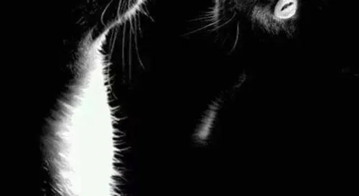 Este viernes la "luna negra", del apocalipsis 
