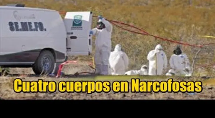 Hallan cuatro cuerpos en fosas clandestinas (VIDEO)