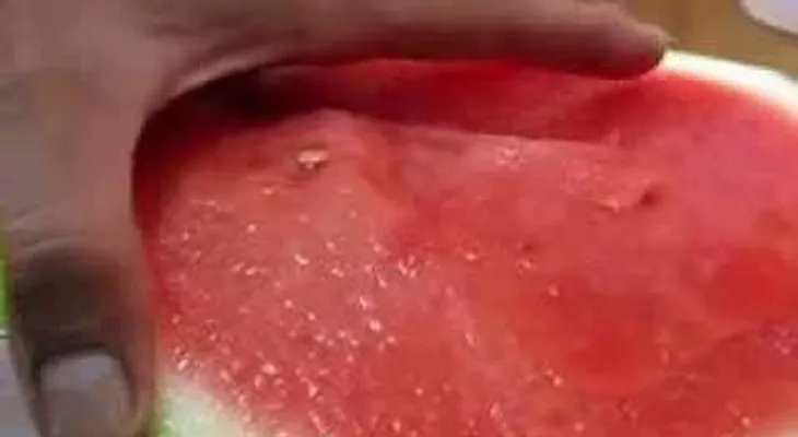 Estas son las interesantes propiedades y beneficios de la sandía (VIDEO) 