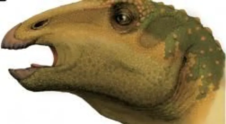 Hallan en España huella de dinosaurio de 230 millones de años
