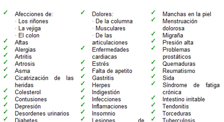Noni - Un fruto con muchos beneficios