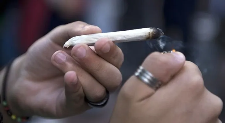 Científicamente probado: La marihuana lleva a las células cancerígenas al suicidio