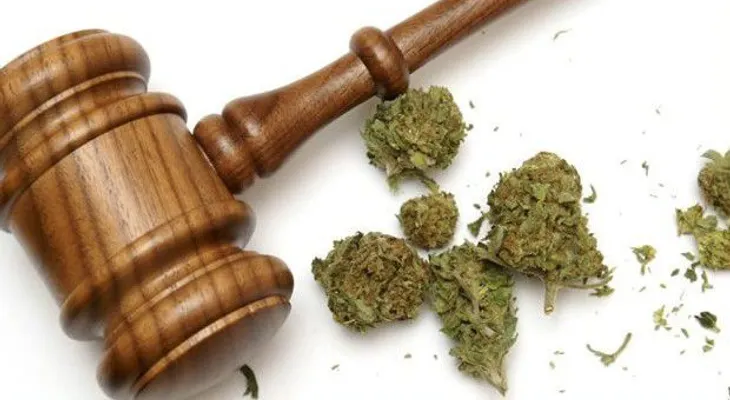 Lo que debes saber del fallo sobre la marihuana en México