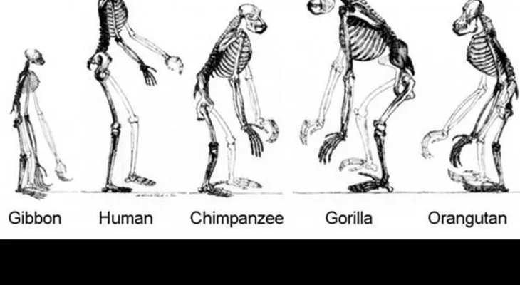 Los mayores misterios sin resolver de nuestra historia