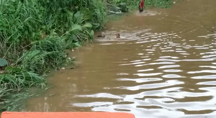 Niño de 7 años alegadamente lanza a otro de 4 al río La Yuca en La Victoria