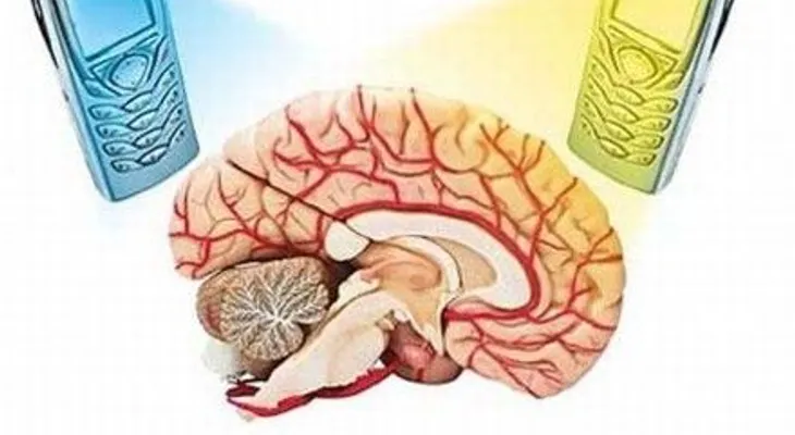 ¿Provocan cáncer los teléfonos celulares?