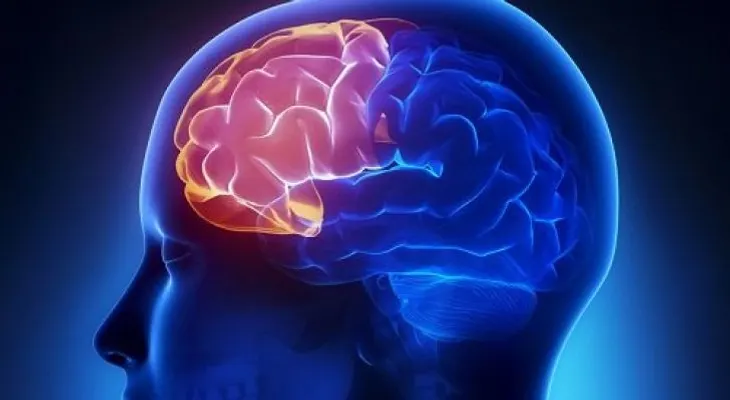 4 ejercicios que te evitan perder la claridad mental en la vejez 
