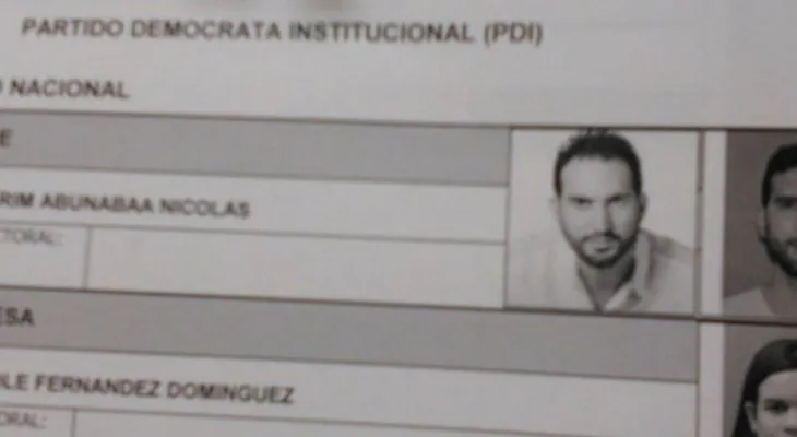 Hija de expresidente Leonel Fernández será vicealcaldesa del DN por el PDI