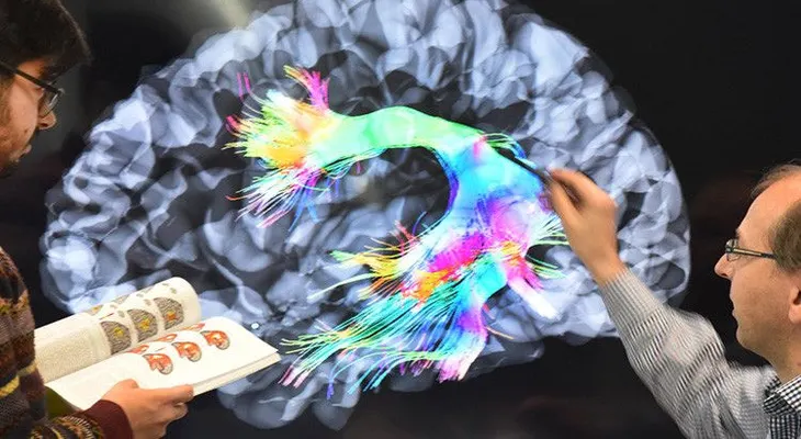 Seis técnicas clave para volverse más inteligente, según la ciencia