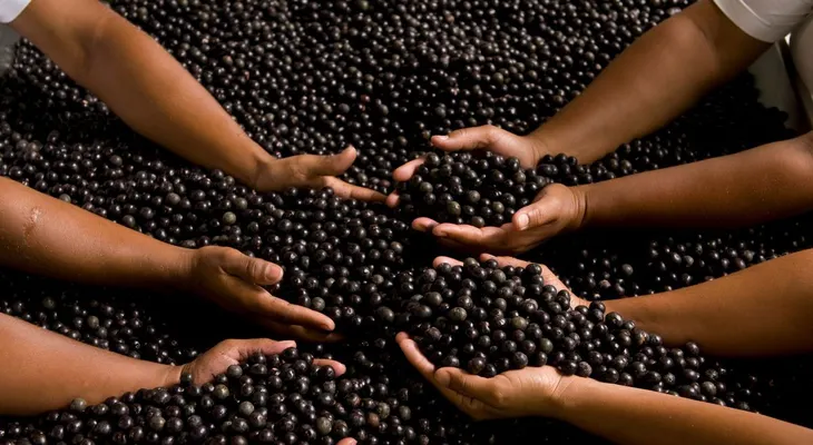 Descubren el Superalimento que Revoluciona el Deseo y la Vitalidad 