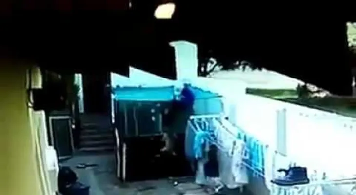 Perros atacan con furia a un presunto ladrón