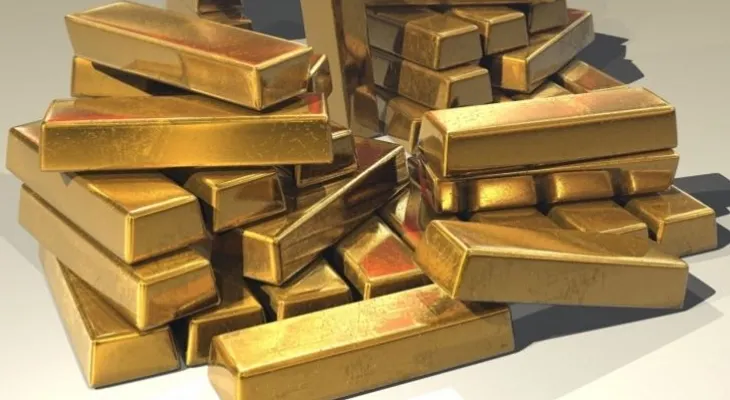 Sacó a pasear su perro y se encontró una piedra de oro, que ha cambiado situación económica de la familia
