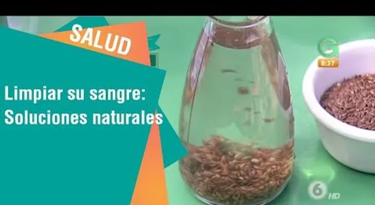 Reconocido médico revela la mejor solución para limpiar la sangre sucia de tu cuerpo