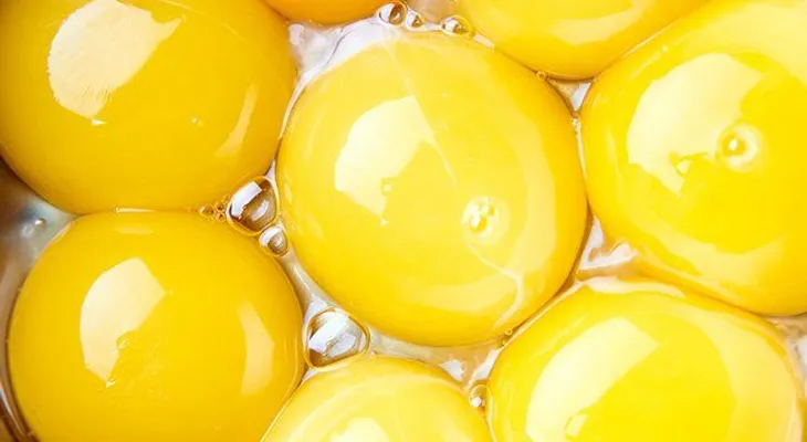 10 alimentos que nunca debes consumir si ya han caducado