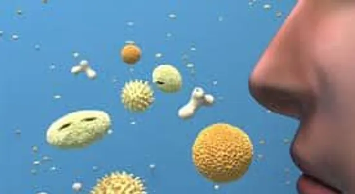  Remedios para la rinitis, conjuntivitis, el asma y otros problemas de la alergia estacional 