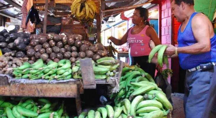 Precio del plátano podría llegar a RD$50 por unidad la próxima semana por sequía