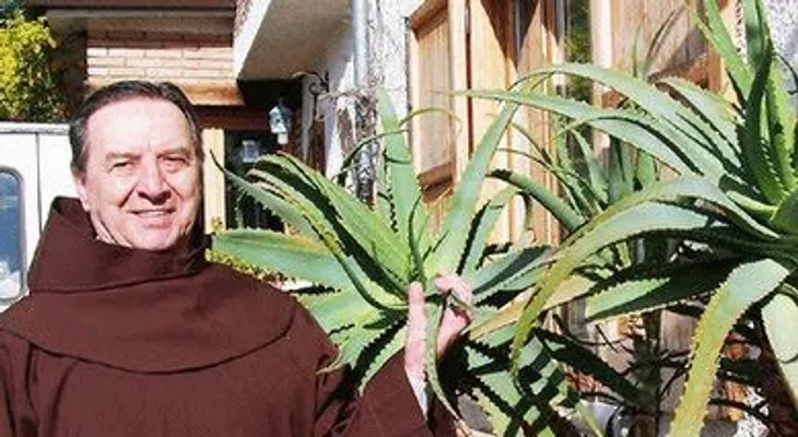 En Israel descubren un remedio contra el cáncer