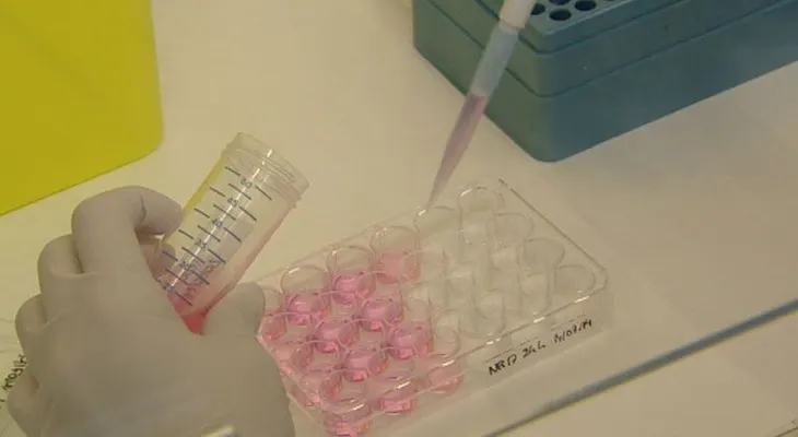 Video:Tuberculosis, que es y como prevenirla