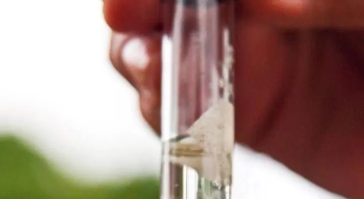 Sanofi Pasteur comenzó hoy a vacunar contra el dengue en Filipinas