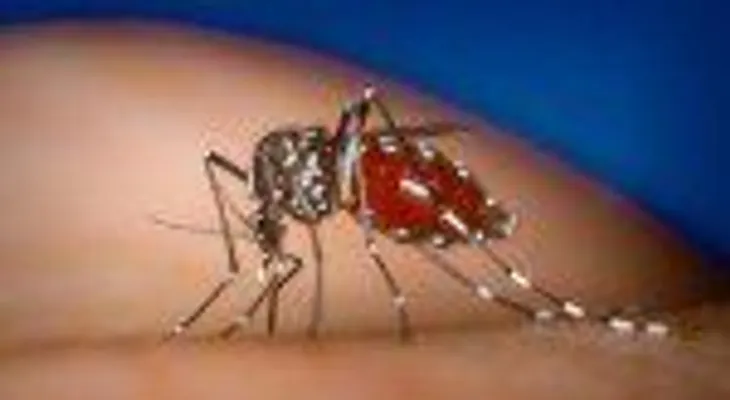 Salud Pública inicia campaña contra el dengue en La Vega