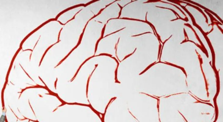 5 principios de psicología que cambiarán la forma de ver la vida