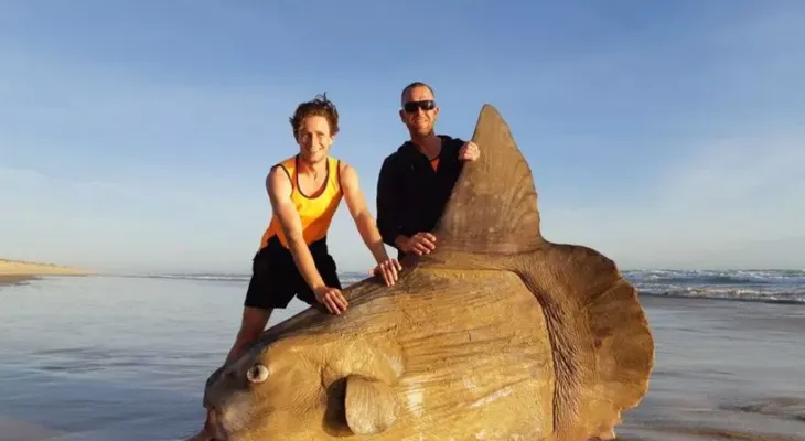 Apareció en una playa de Australia un extraño e inmenso pez