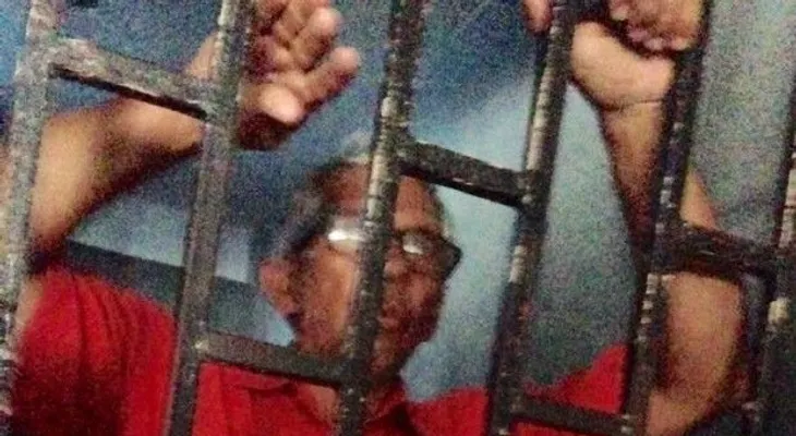 Liberan ganadero dominicano detenido en Haití 