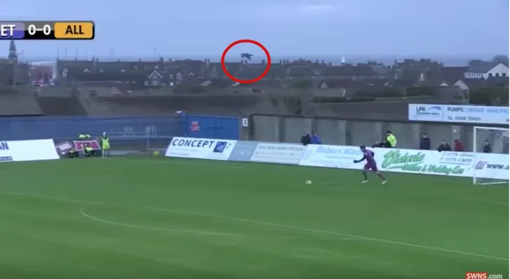 Jugador golpea a un ave en pleno vuelo con un saque de portería