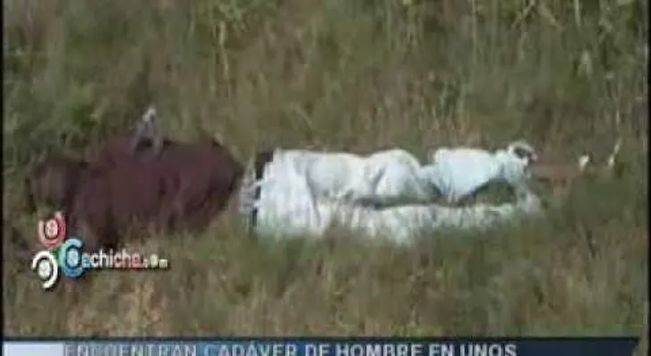 Hallan otro muerto en cañaveral de San Cristóbal
