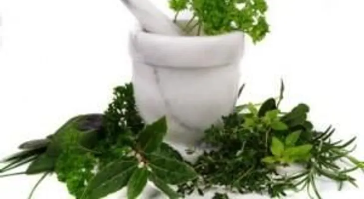 Plantas que dan fuerza para la fatiga