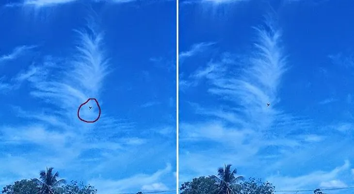 Increíble imagen aparece el Domingo de Ramos, en La Vega, República Dominicana