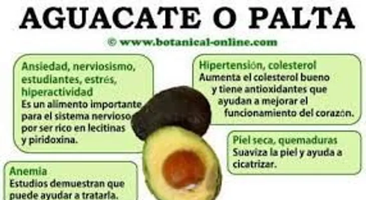 Las grasas del aguacate son buenas para la salud; descubre seis beneficios 