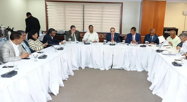 Comisión Bicameral presentará avances de trabajos sobre proyecto ley de partidos
