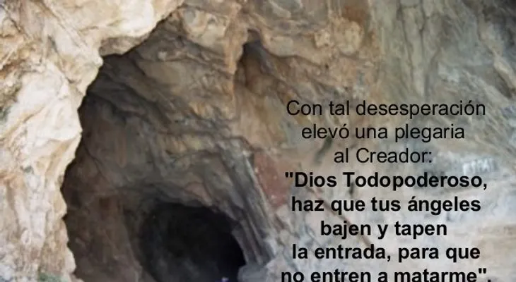 "Muro y Telaraña".