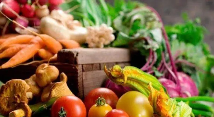 La forma de alimentarnos determina la salud a lo largo de la vida
