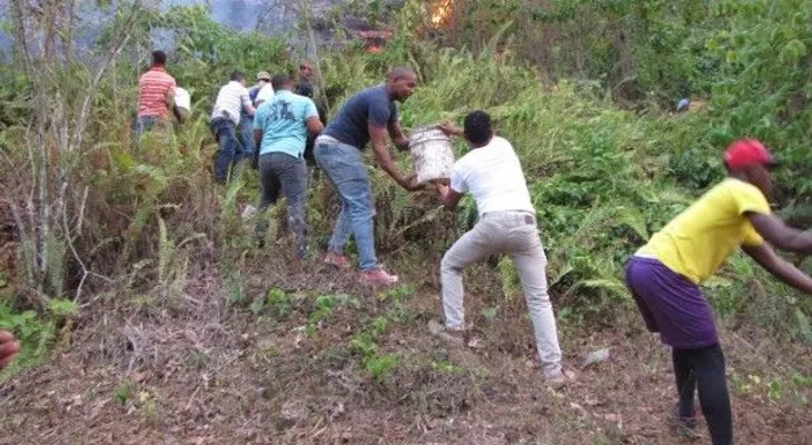 Incendio forestal consume decenas de tareas de tierra en Nagua